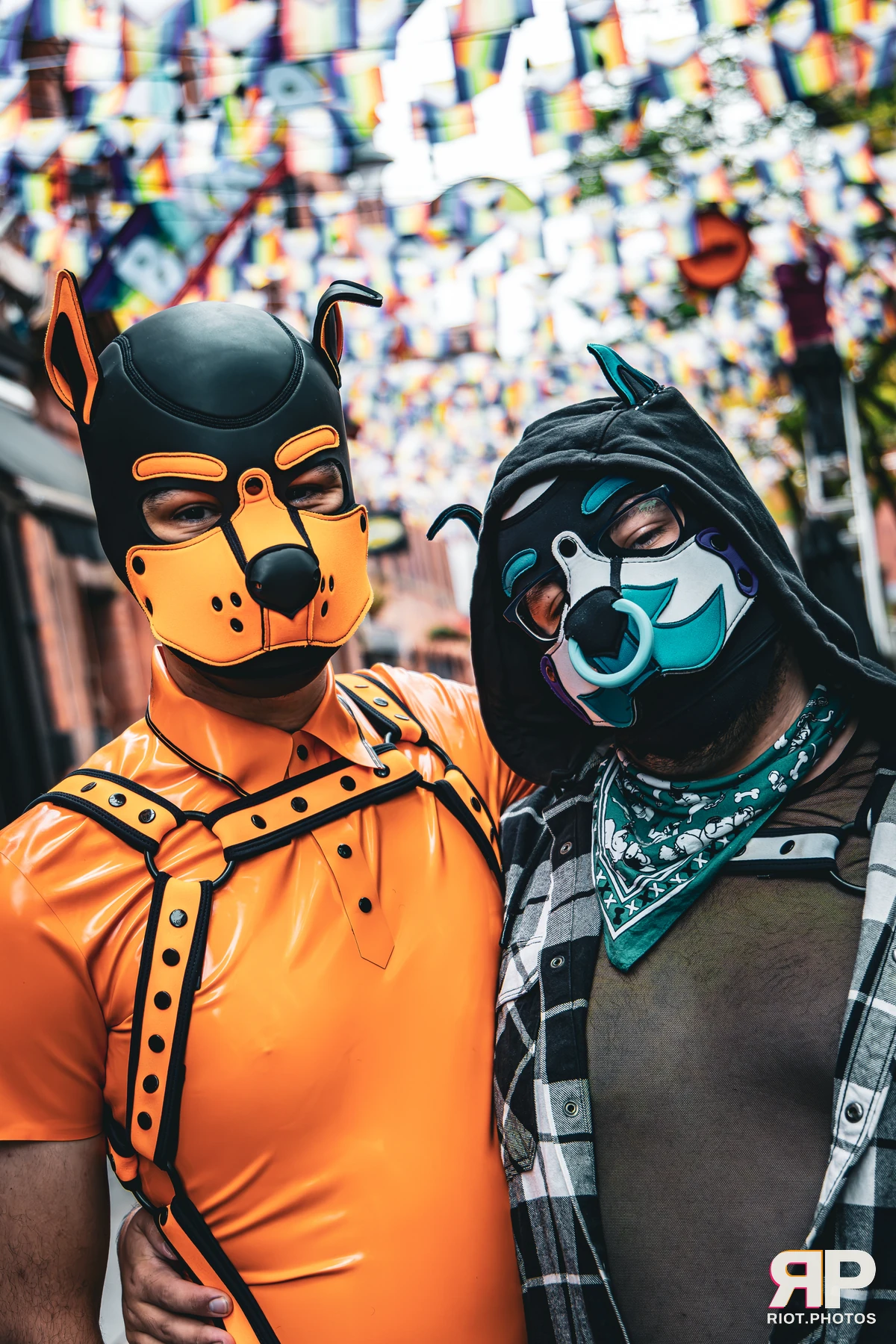 Apollo - furry & pup photography by Fluffy Riot - photo 38