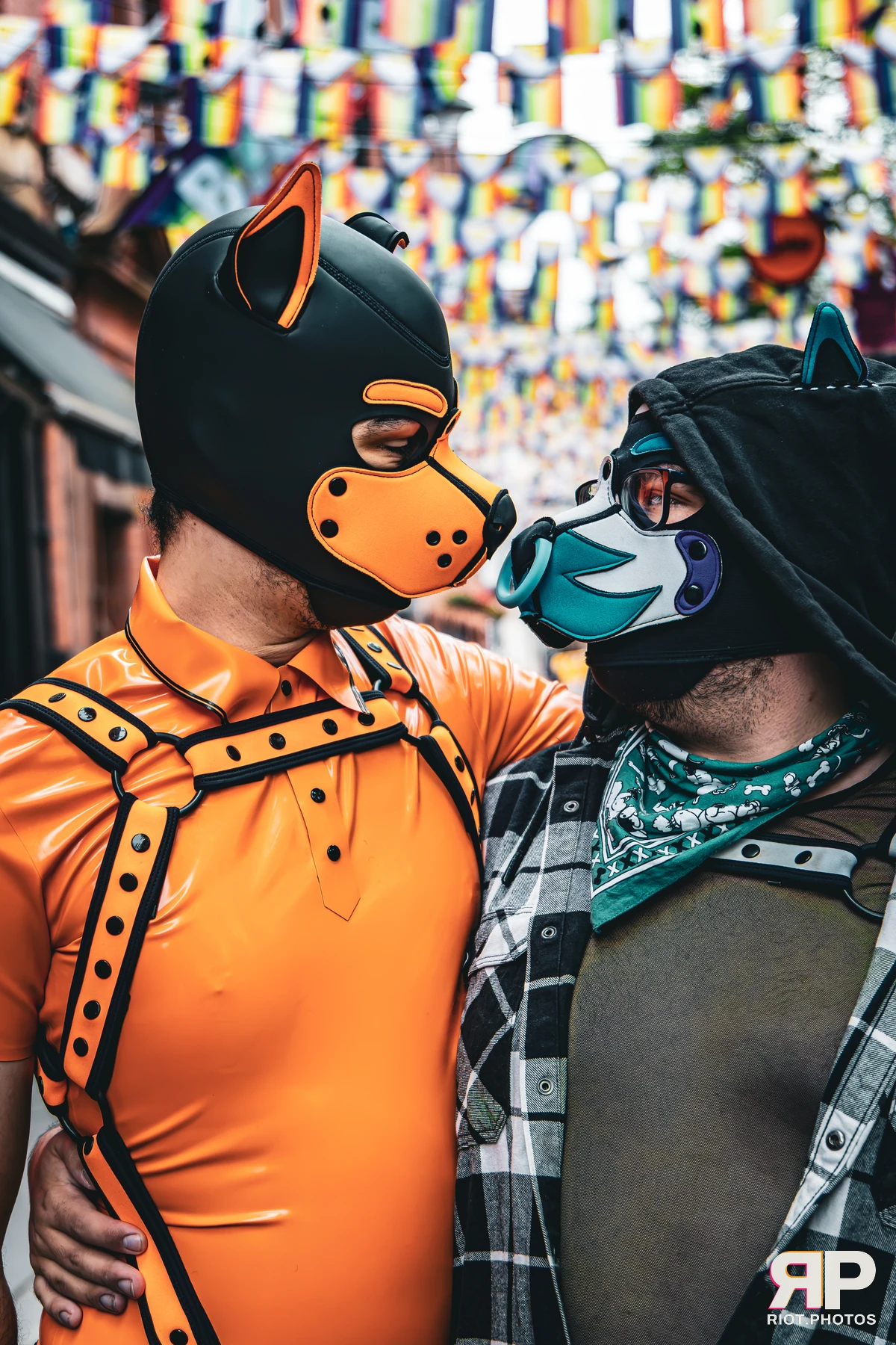 Apollo - furry & pup photography by Fluffy Riot - photo 37