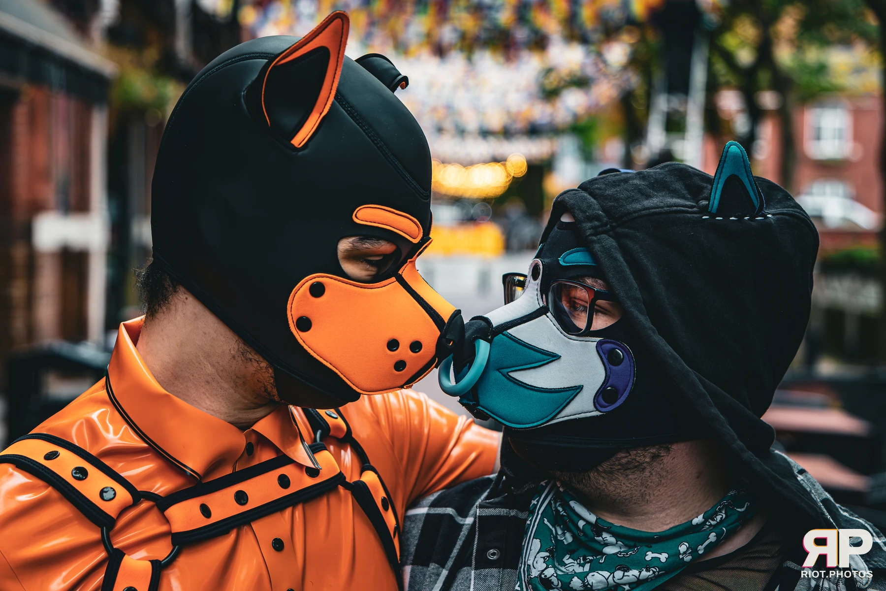 Apollo - furry & pup photography by Fluffy Riot - photo 36