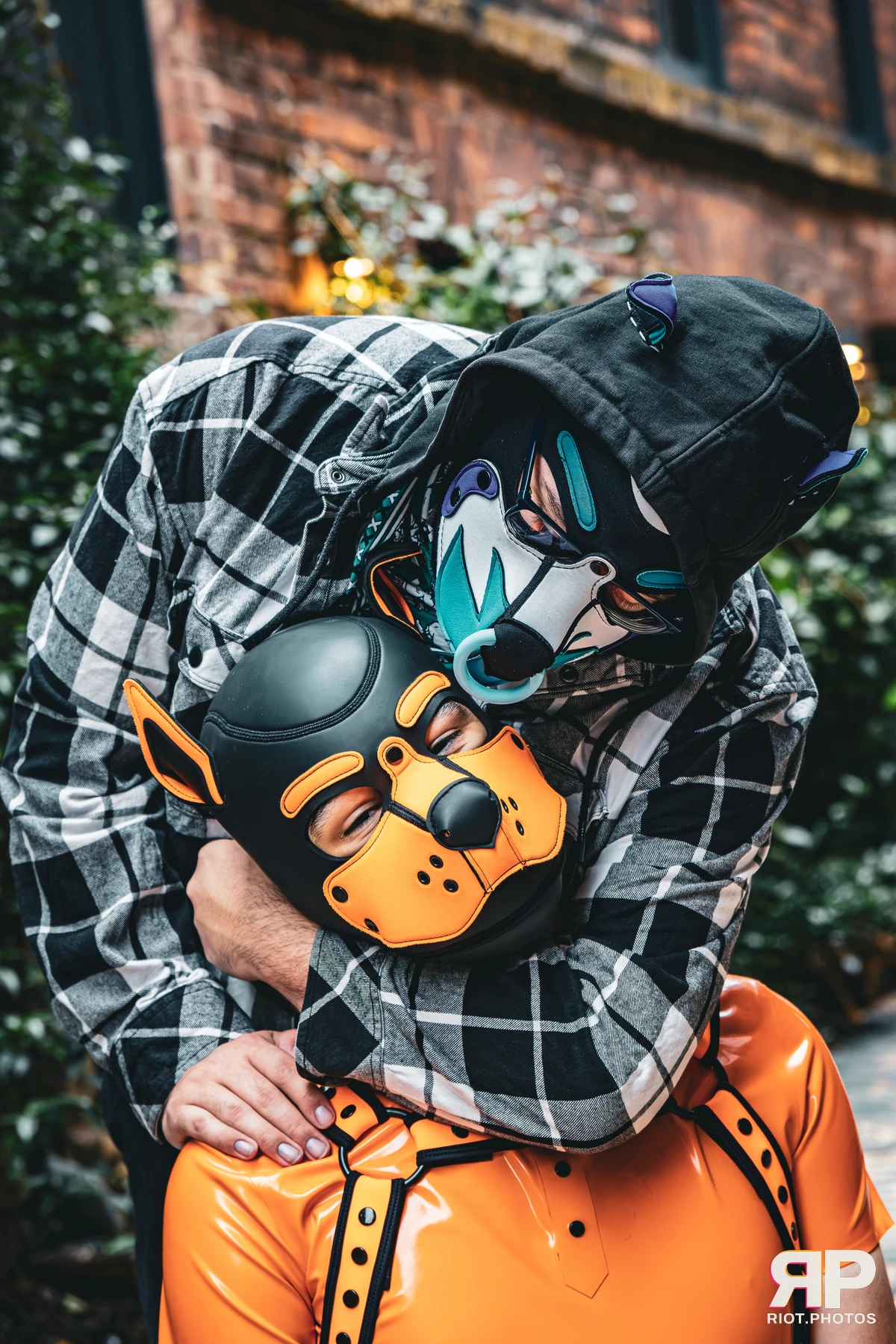 Apollo - furry & pup photography by Fluffy Riot - photo 34