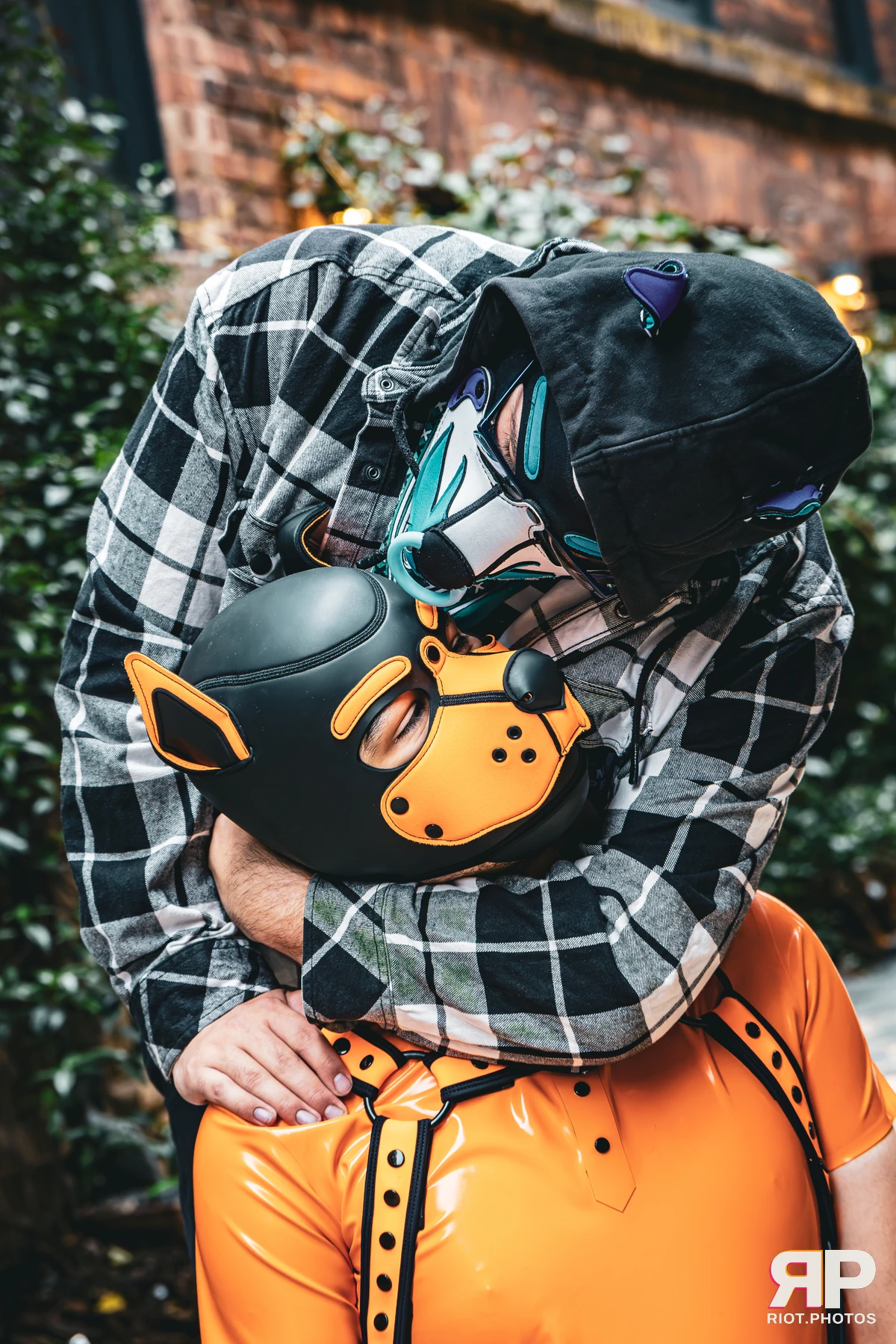 Apollo - furry & pup photography by Fluffy Riot - photo 33