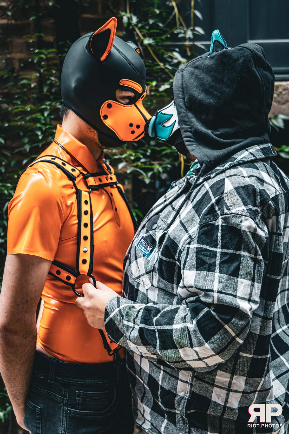 Apollo - furry & pup photography by Fluffy Riot - photo 32