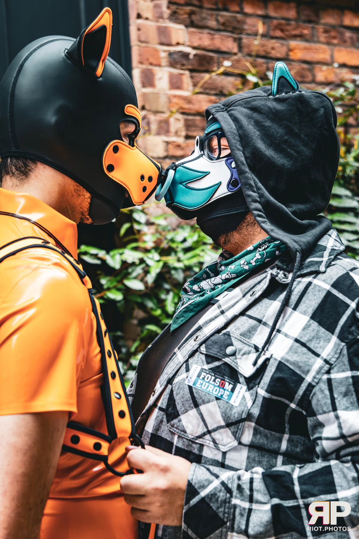 Apollo - furry & pup photography by Fluffy Riot - photo 31