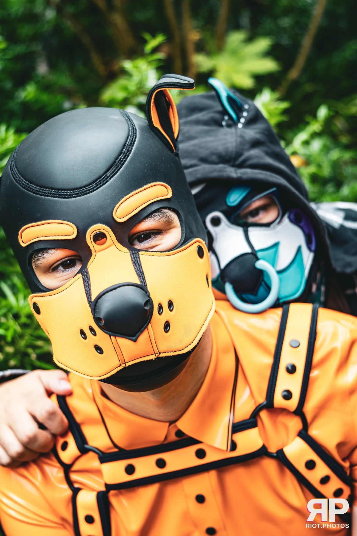 Apollo - furry & pup photography by Fluffy Riot - photo 30