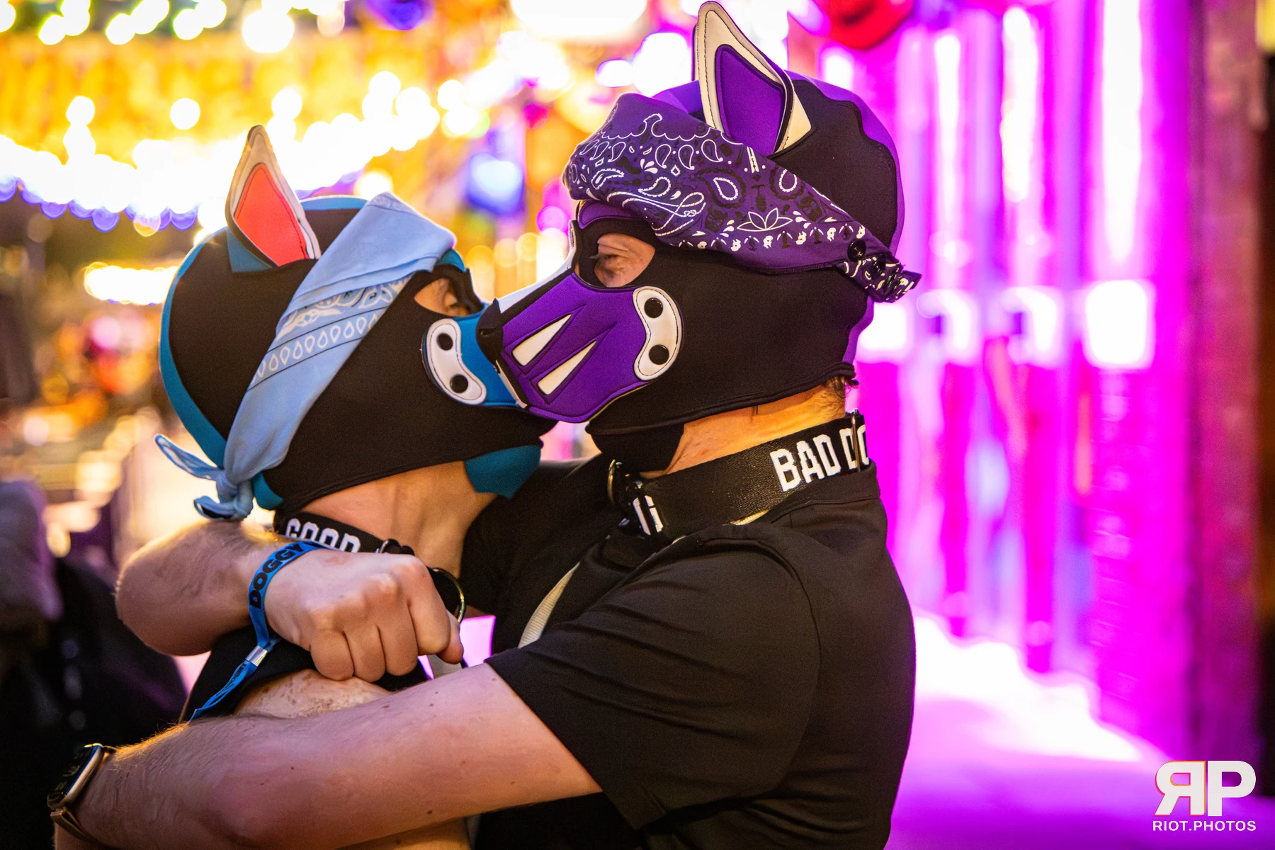 Doggy Weekend 2026 - 18 Oct 2026, Fluffy Riot photography - photo 798