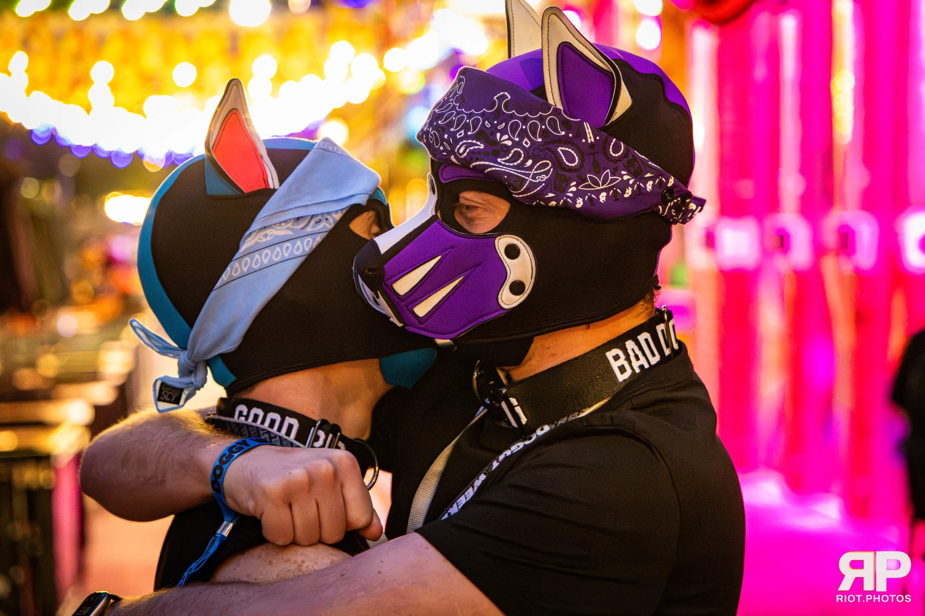 Doggy Weekend 2026 - 18 Oct 2026, Fluffy Riot photography - photo 797