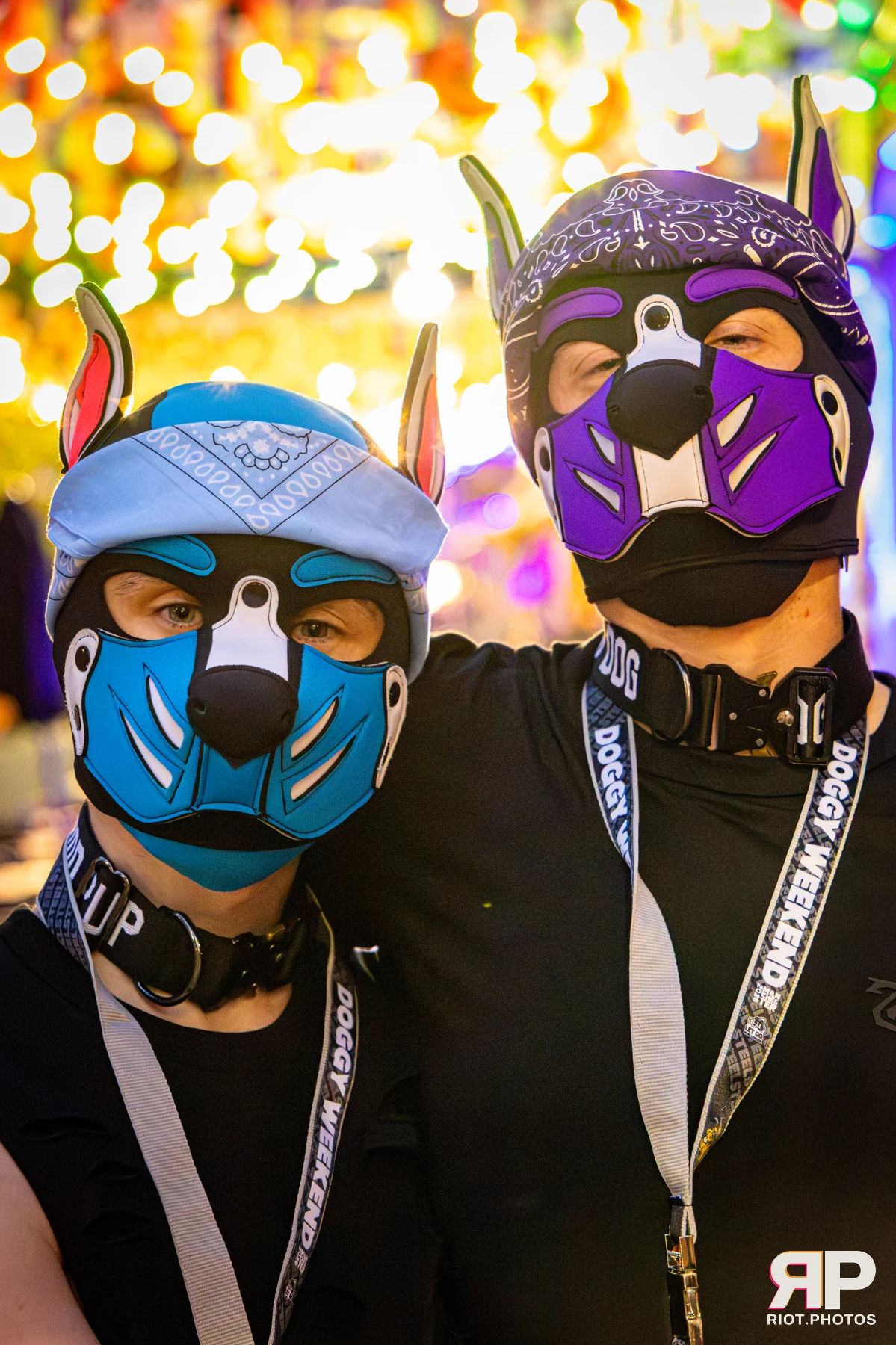 Doggy Weekend 2026 - 18 Oct 2026, Fluffy Riot photography - photo 796