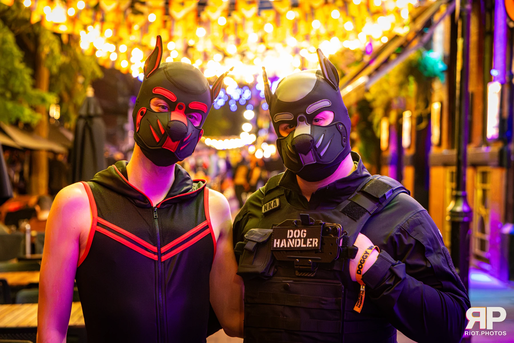 Bosie - furry & pup photography by Fluffy Riot - photo 14