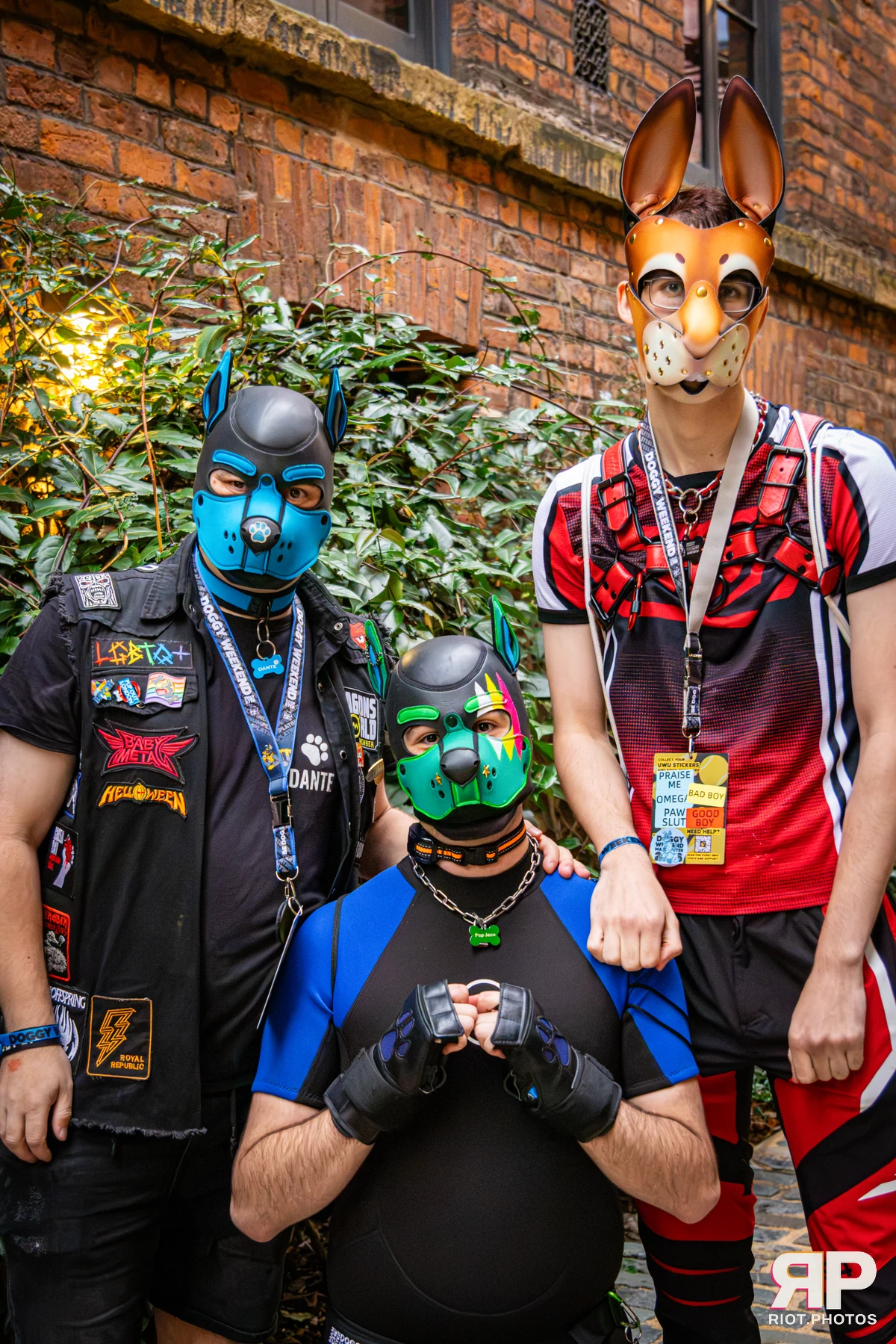 Dante - furry & pup photography by Fluffy Riot - photo 16