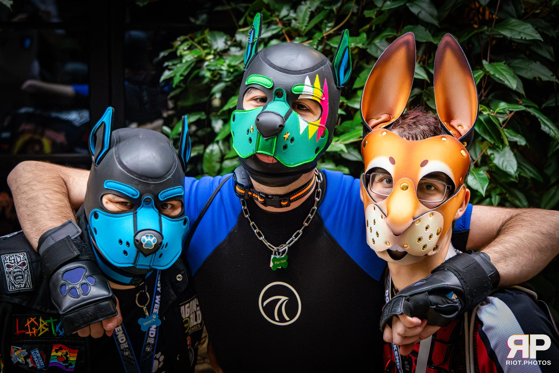 Dante - furry & pup photography by Fluffy Riot - photo 15