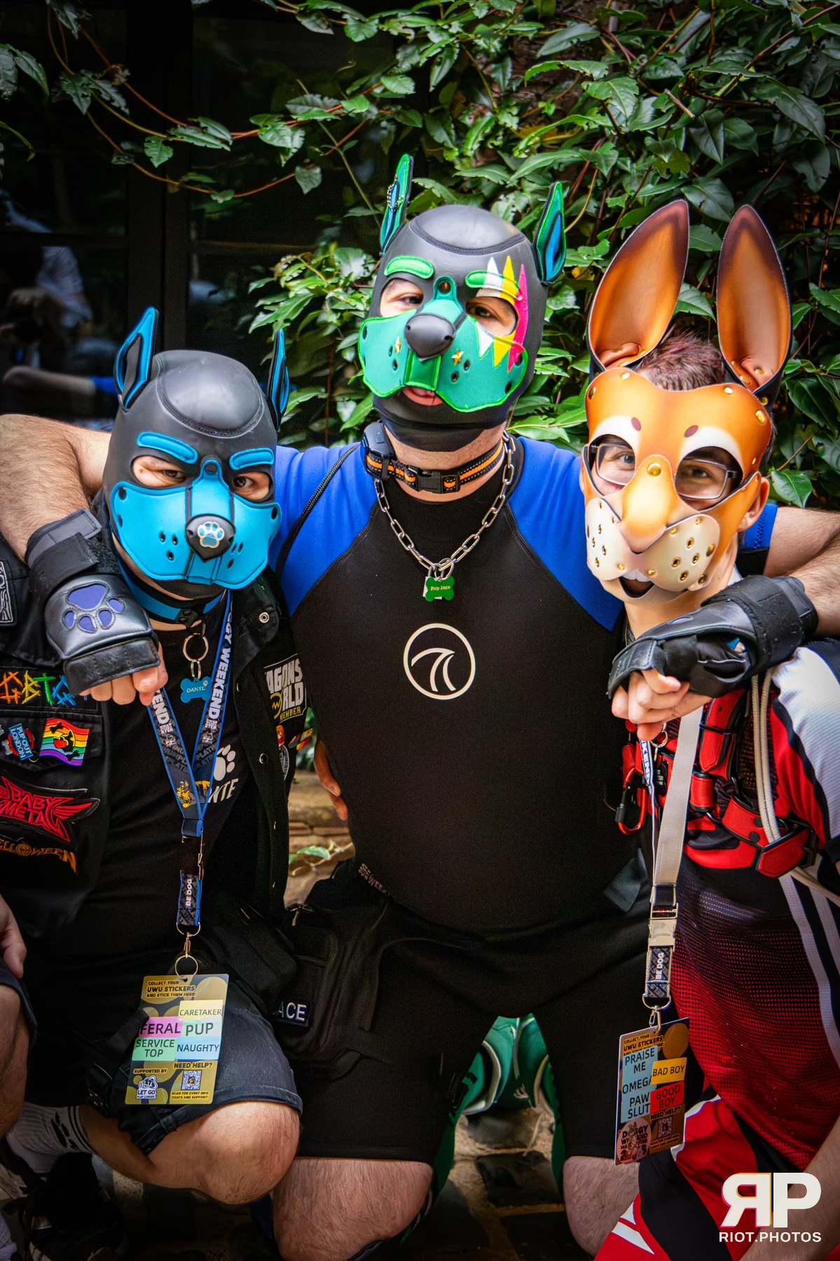 Dante - furry & pup photography by Fluffy Riot - photo 14