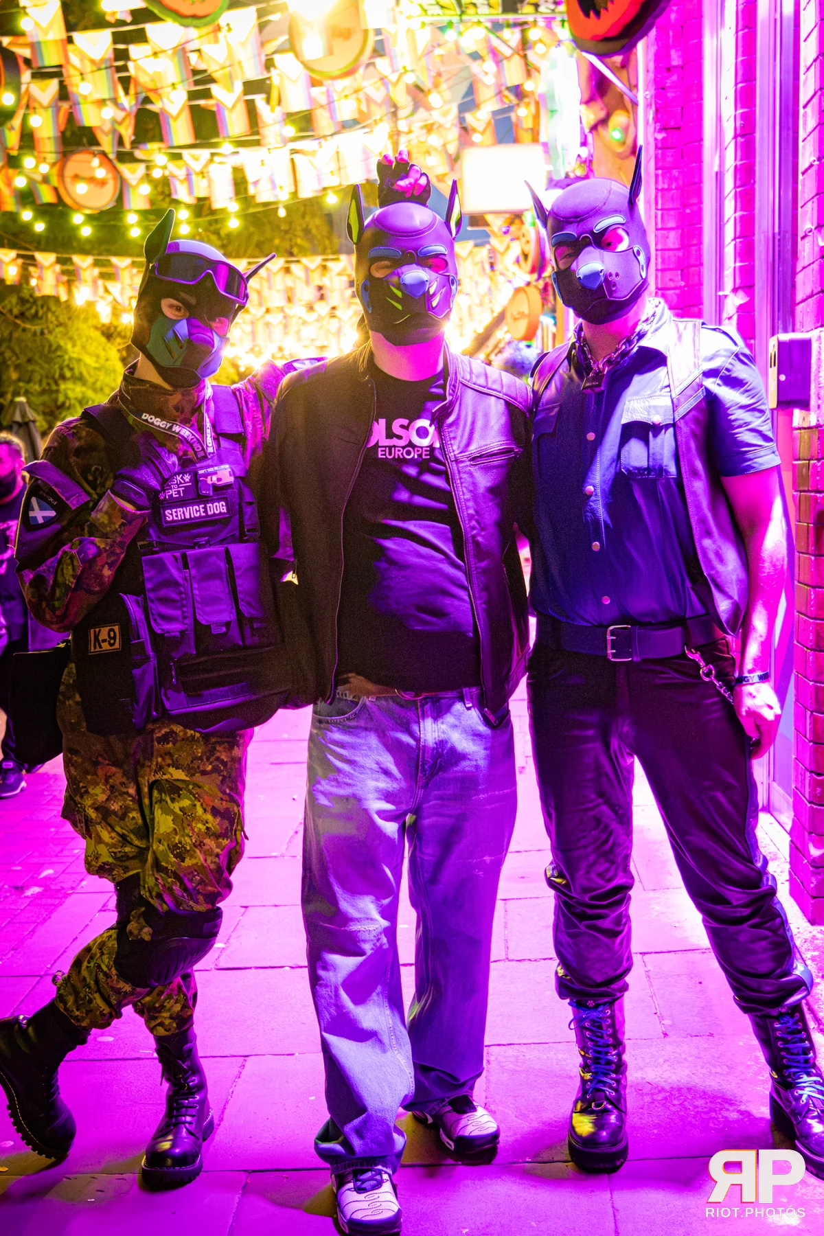 Digi - furry & pup photography by Fluffy Riot - photo 17