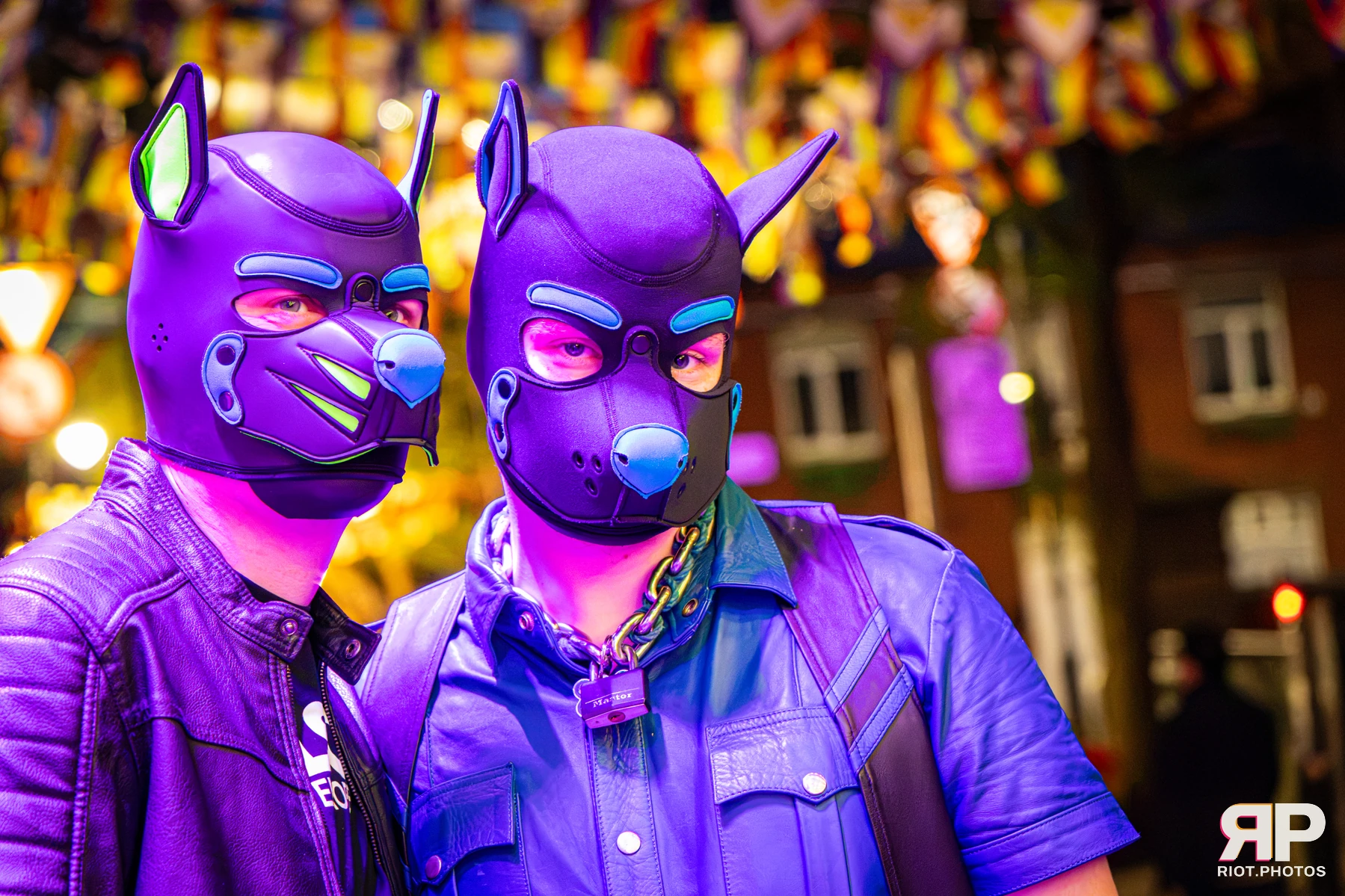 Digi - furry & pup photography by Fluffy Riot - photo 15