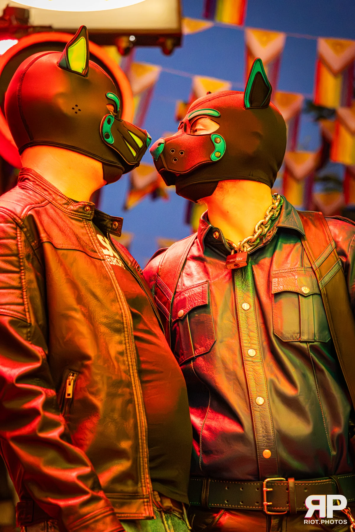 Digi - furry & pup photography by Fluffy Riot - photo 14