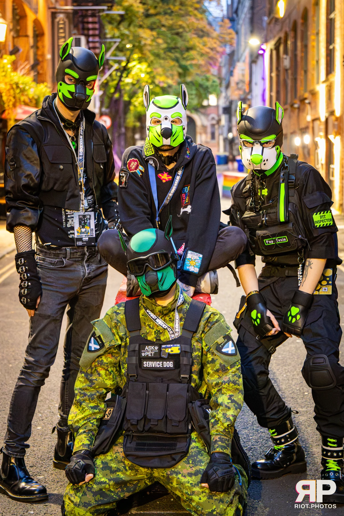 Doggy Weekend 2026 - 18 Oct 2026, Fluffy Riot photography - photo 700