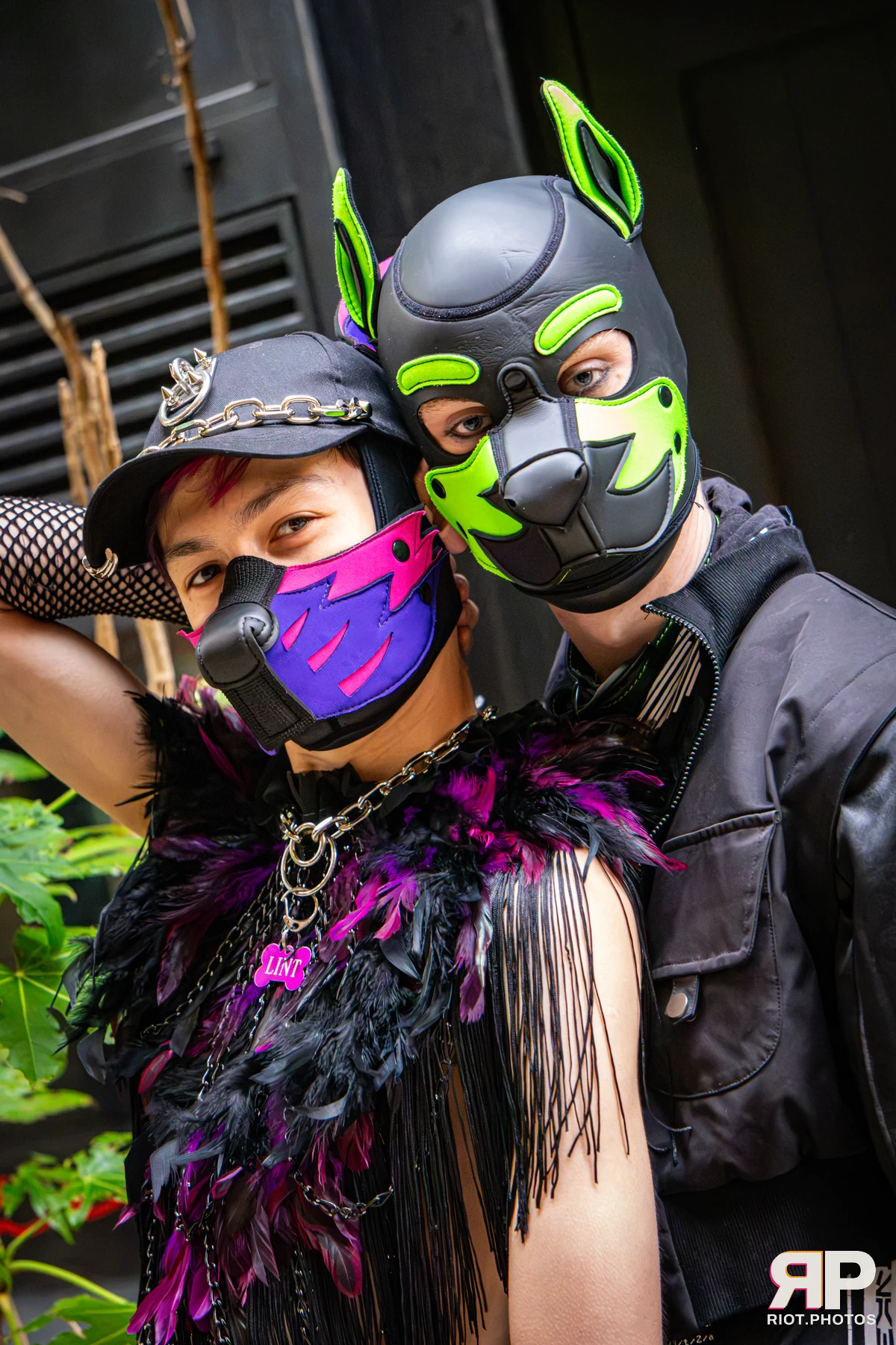 Doggy Weekend 2026 - 18 Oct 2026, Fluffy Riot photography - photo 641