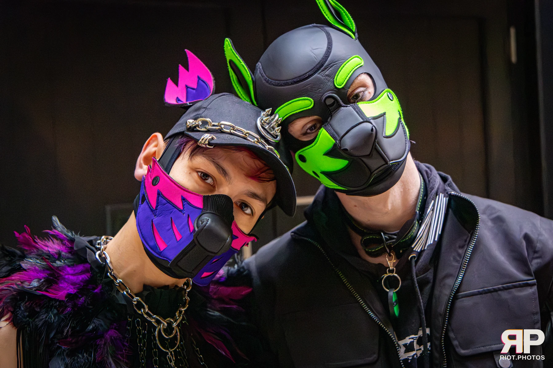 Doggy Weekend 2026 - 18 Oct 2026, Fluffy Riot photography - photo 639
