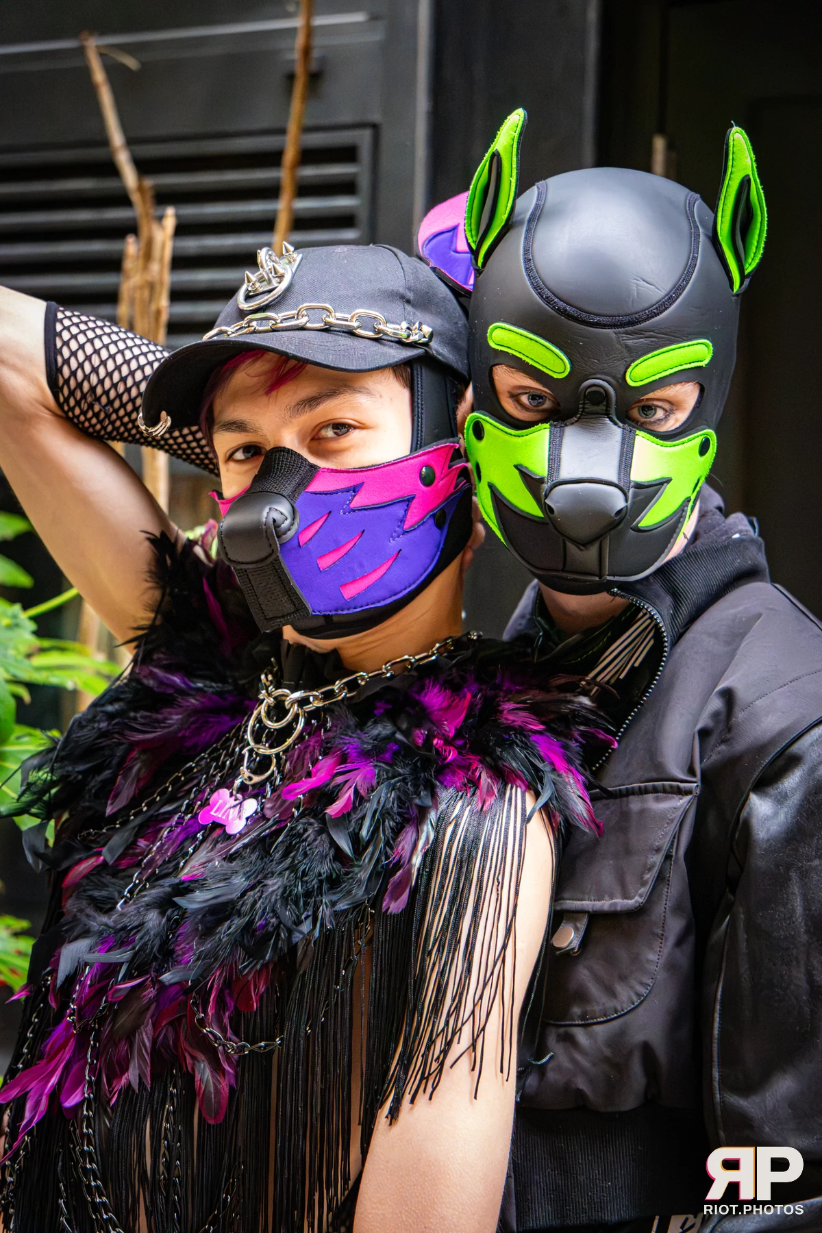 Doggy Weekend 2026 - 18 Oct 2026, Fluffy Riot photography - photo 638