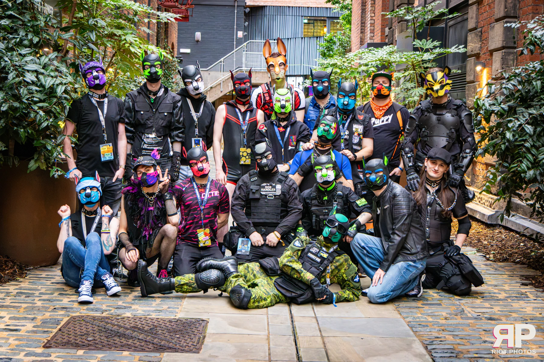 Bosie - furry & pup photography by Fluffy Riot - photo 12