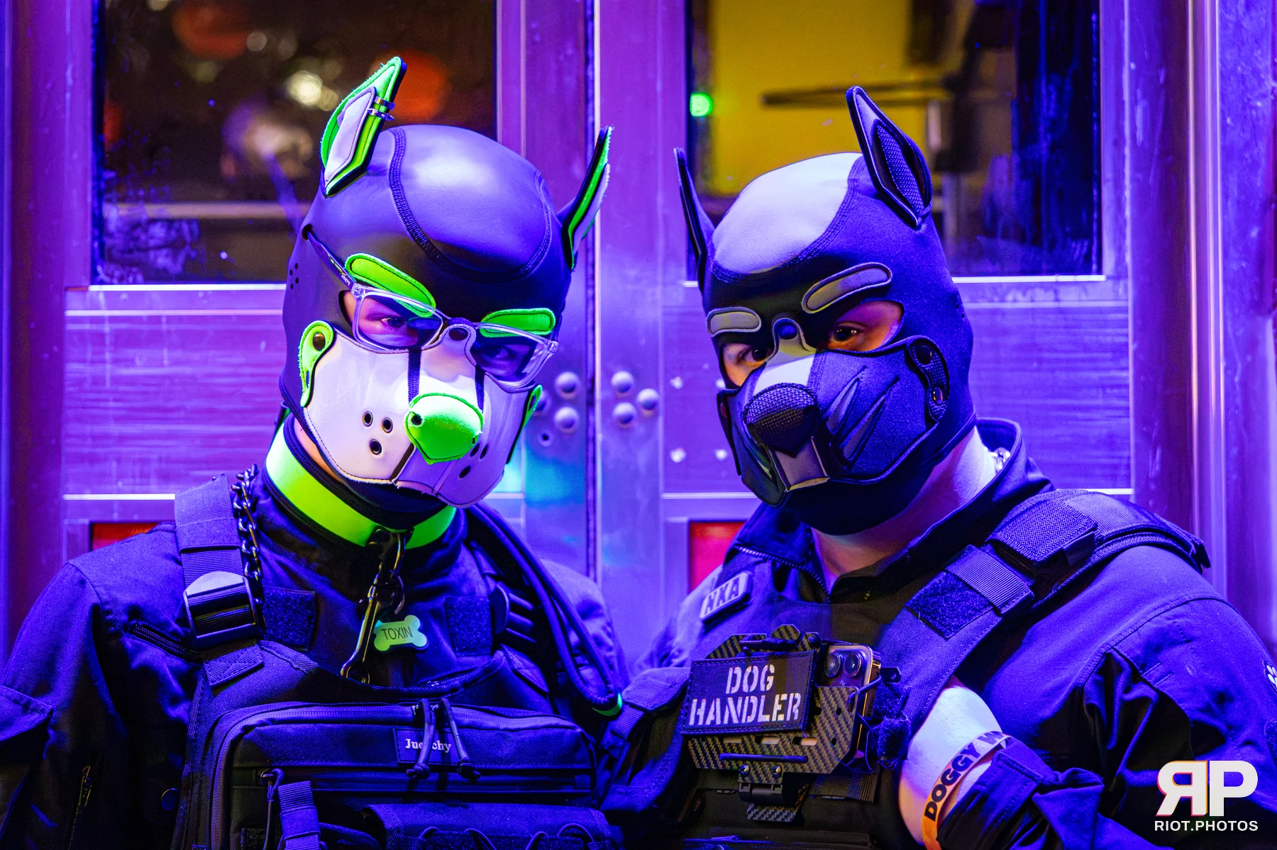 Doggy Weekend 2026 - 18 Oct 2026, Fluffy Riot photography - photo 559