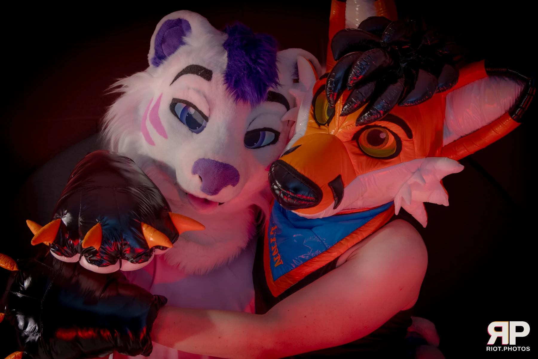 Yui Tiger - furry & pup photography by Fluffy Riot - photo 56