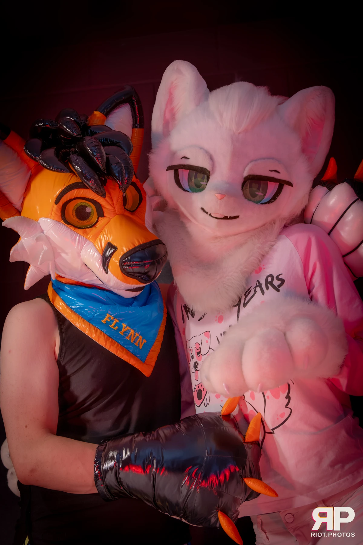 Doggy Weekend 2026 - 18 Oct 2026, Fluffy Riot photography - photo 397