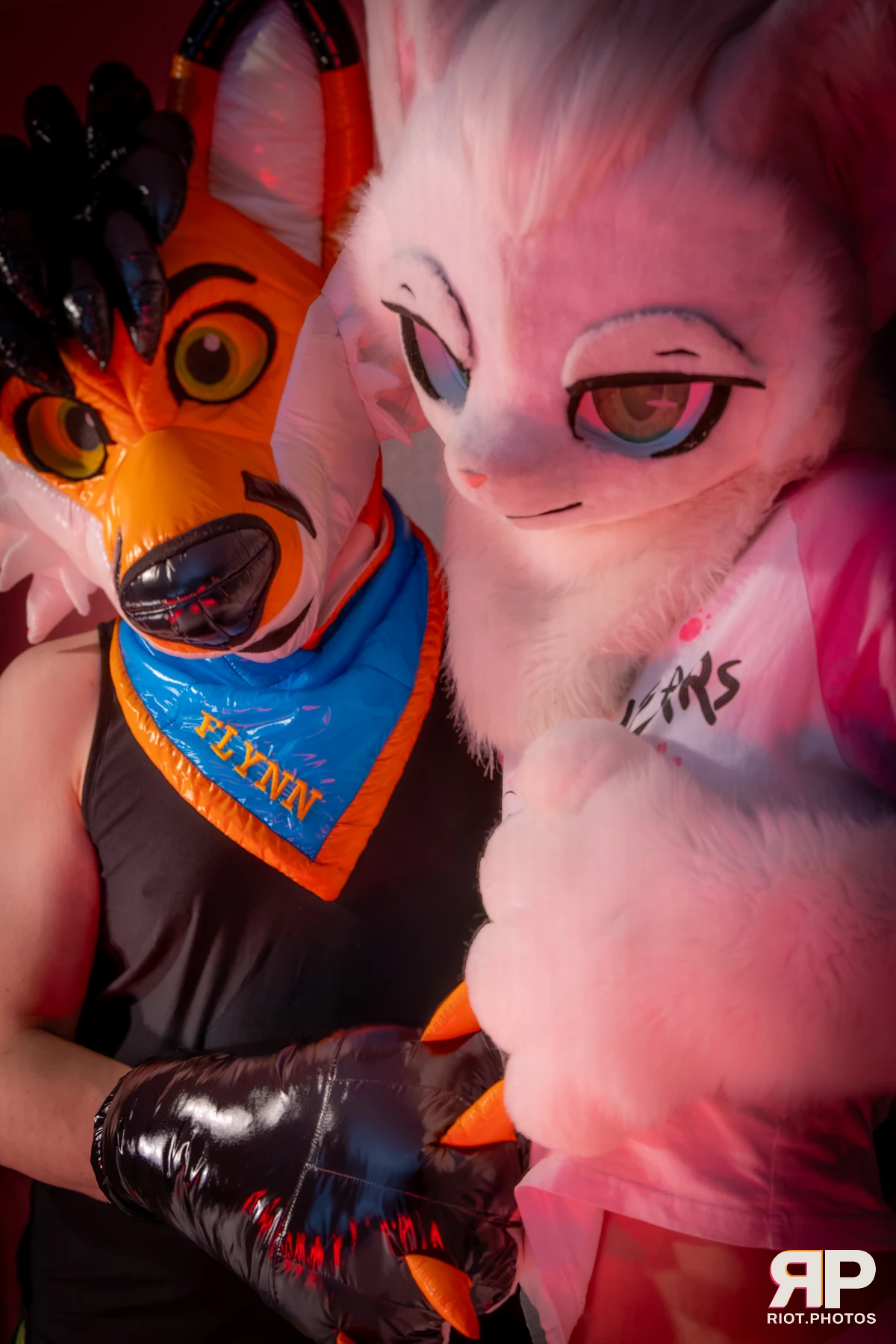 Doggy Weekend 2026 - 18 Oct 2026, Fluffy Riot photography - photo 395