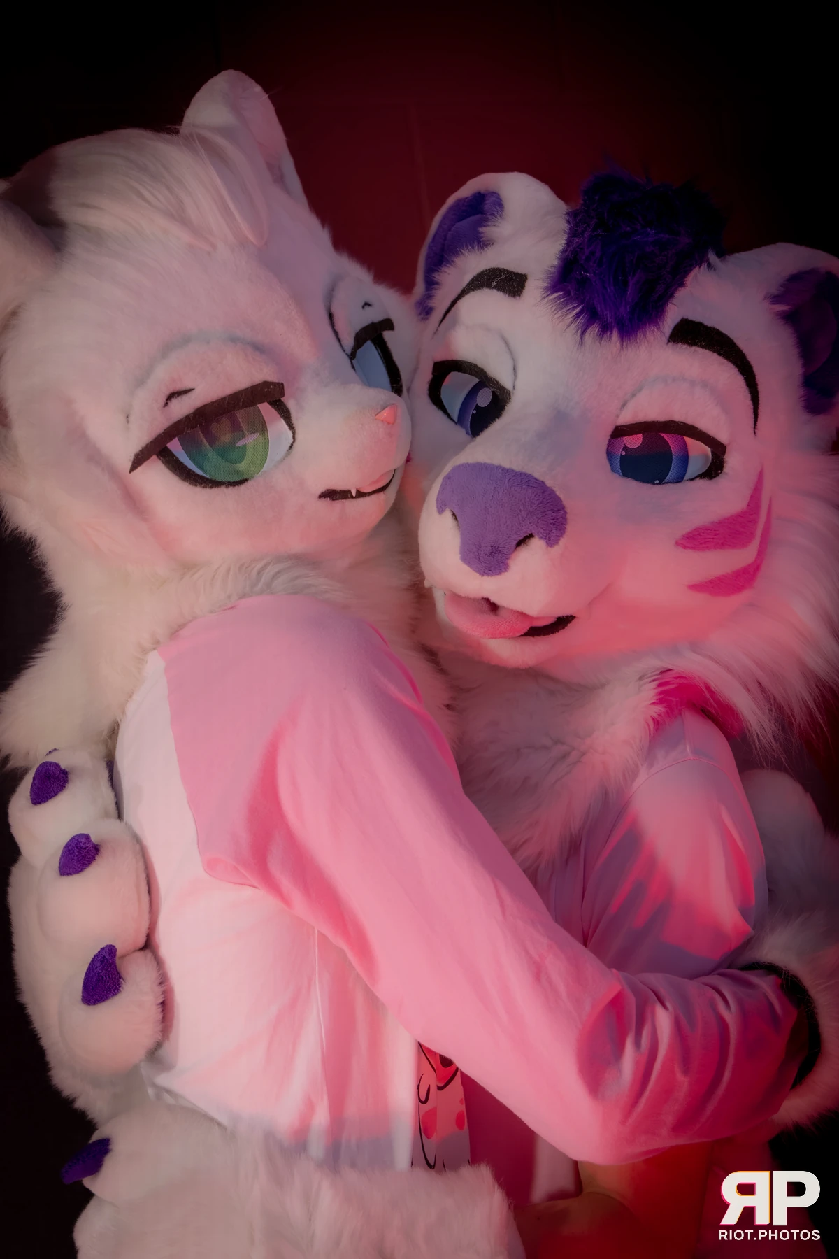 Yui Tiger - furry & pup photography by Fluffy Riot - photo 43