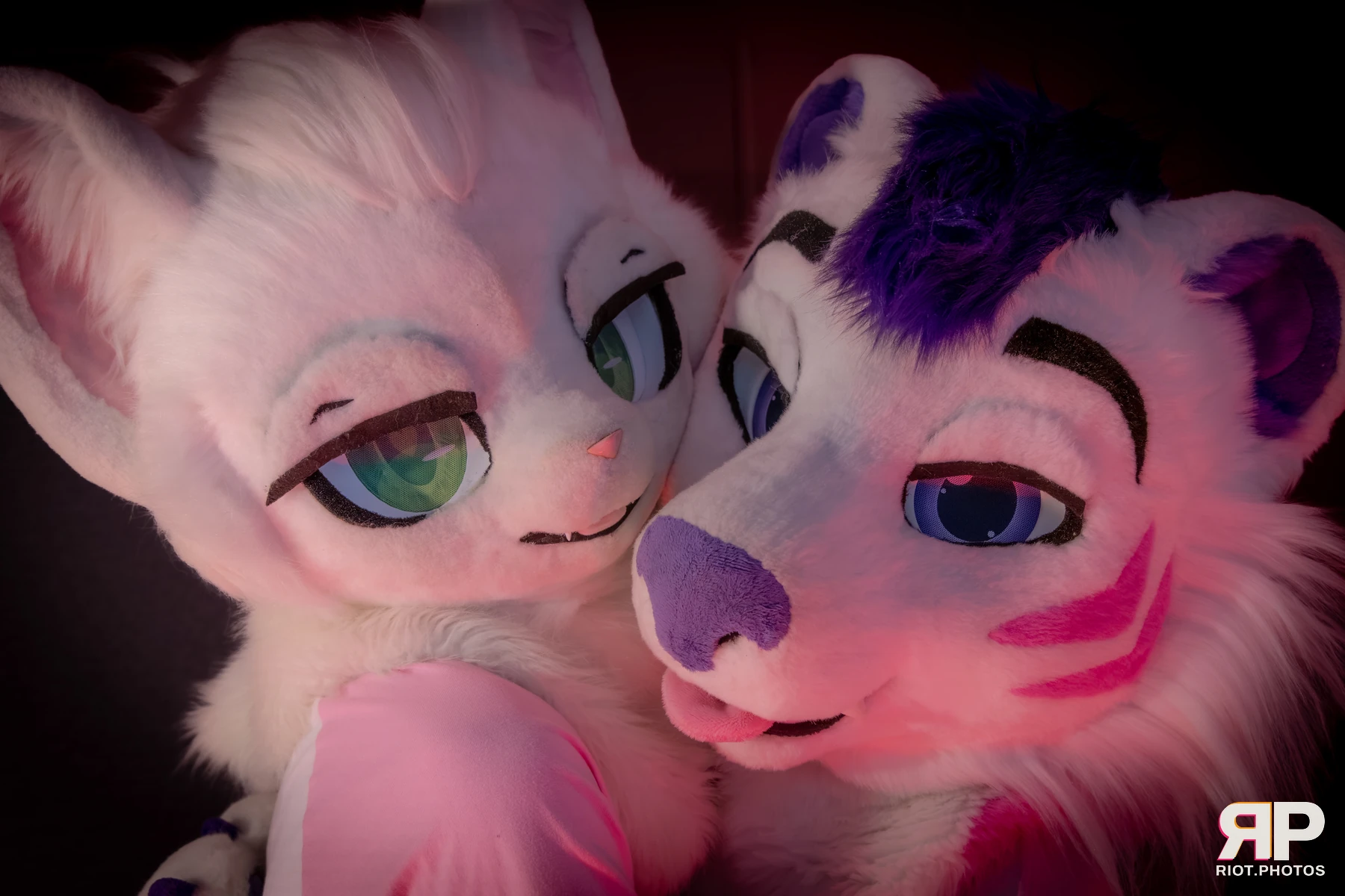 Yui Tiger - furry & pup photography by Fluffy Riot - photo 42