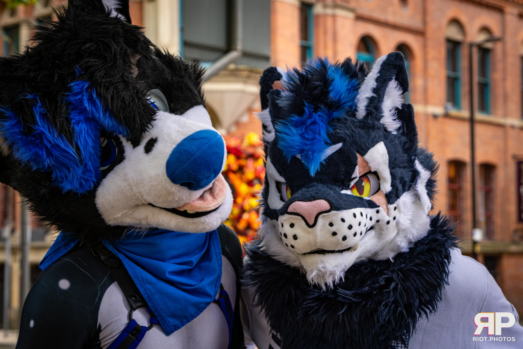 Tei - furry & pup photography by Fluffy Riot - photo 33