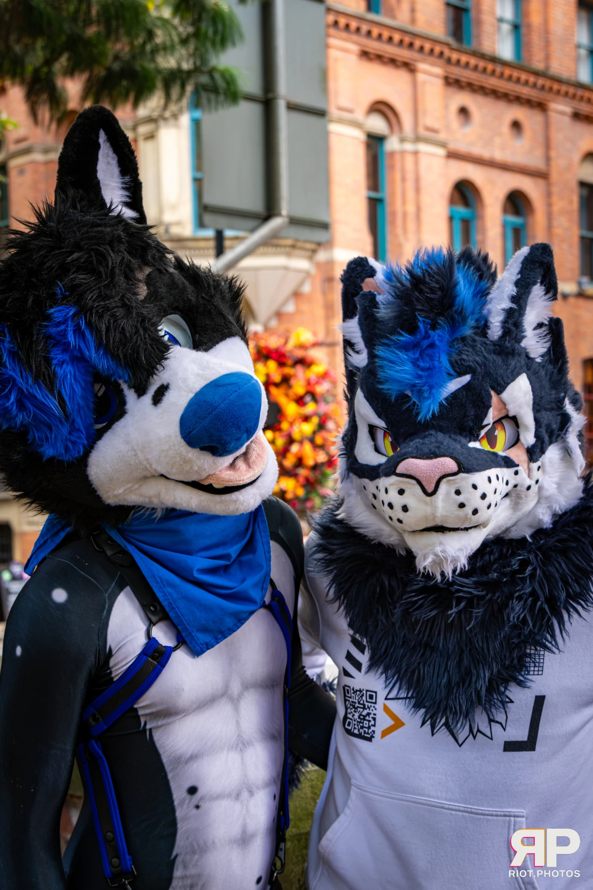 Tei - furry & pup photography by Fluffy Riot - photo 32