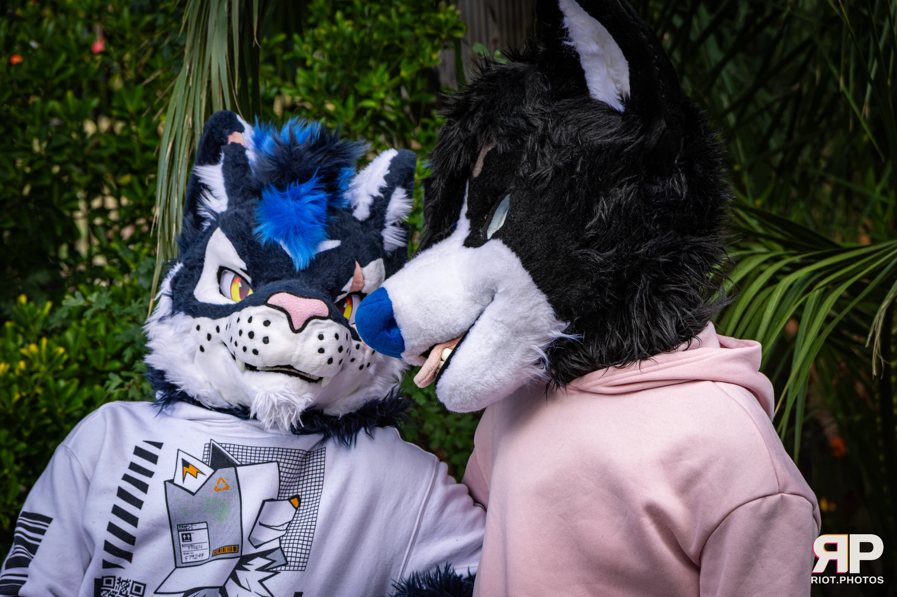 Tei - furry & pup photography by Fluffy Riot - photo 30