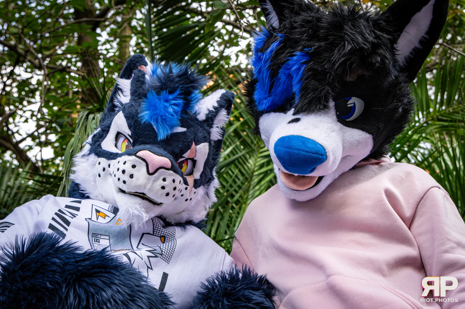 Tei - furry & pup photography by Fluffy Riot - photo 29