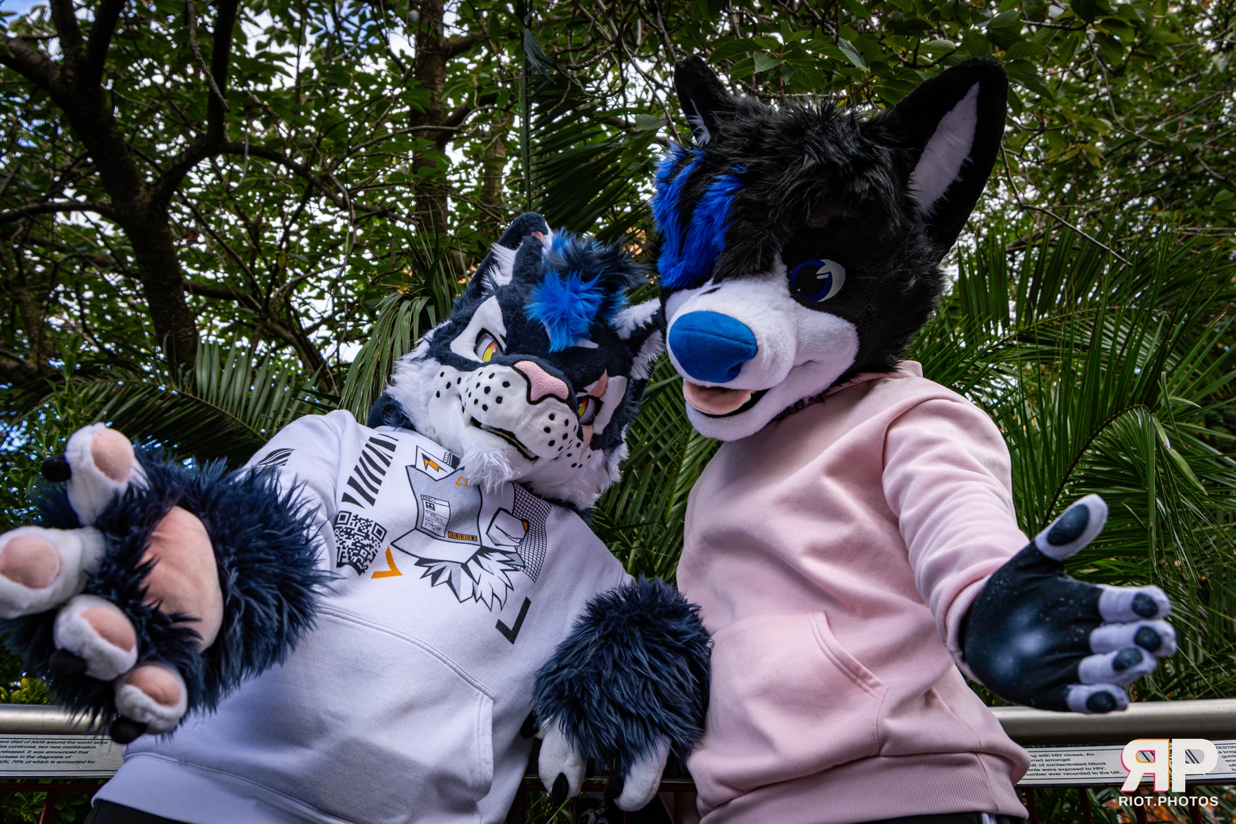 Tei - furry & pup photography by Fluffy Riot - photo 28
