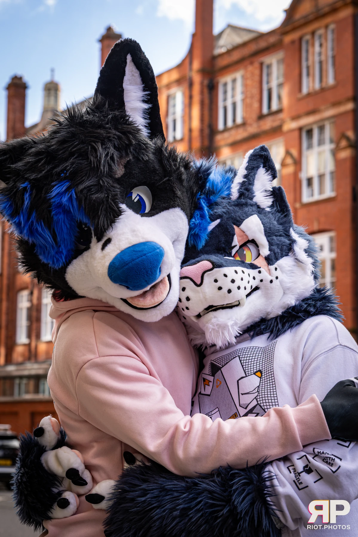 Tei - furry & pup photography by Fluffy Riot - photo 27