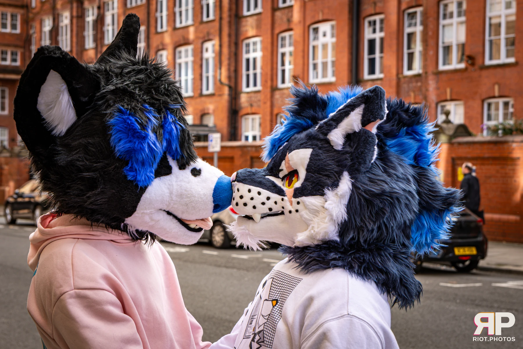 Tei - furry & pup photography by Fluffy Riot - photo 26