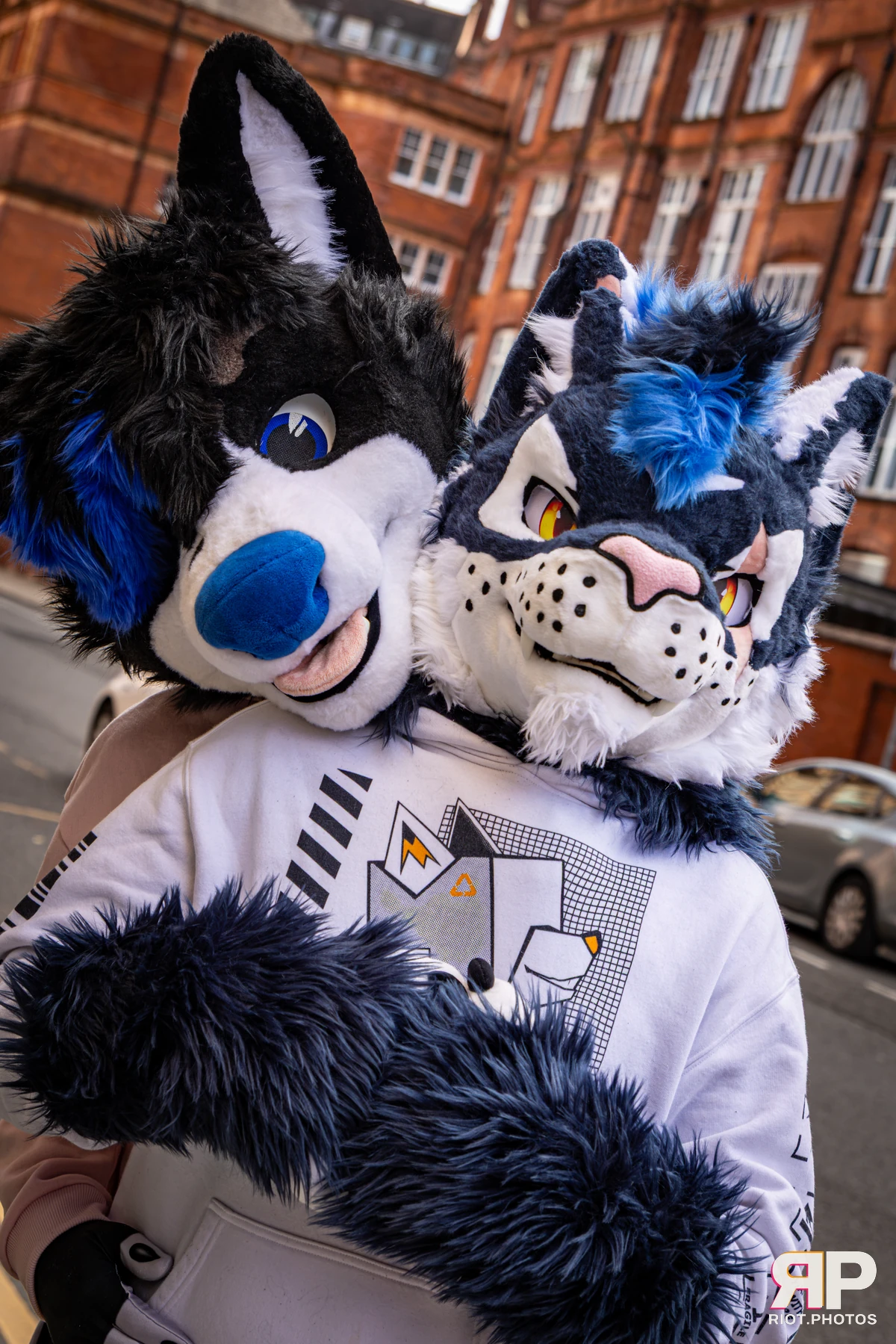 Tei - furry & pup photography by Fluffy Riot - photo 25