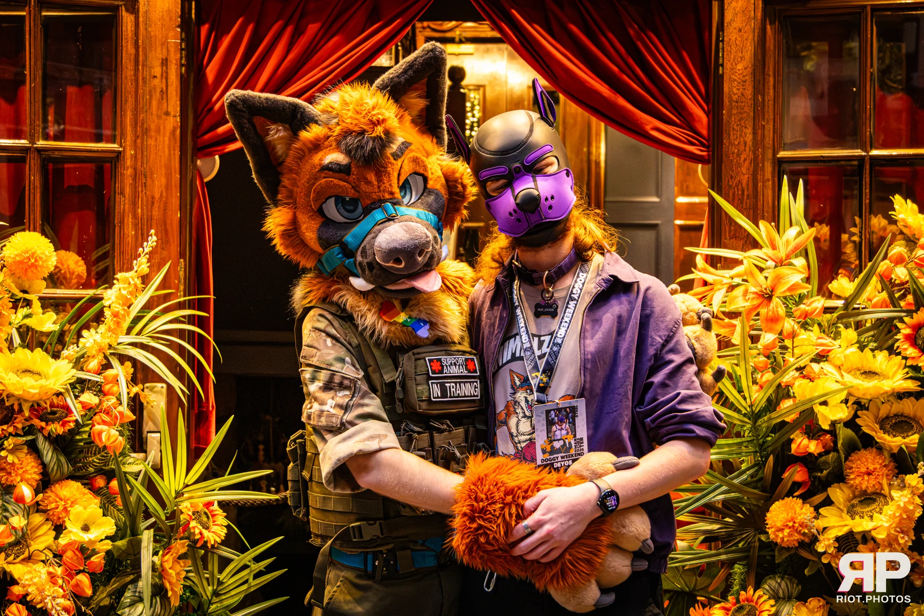 Doggy Weekend 2026 - 18 Oct 2026, Fluffy Riot photography - photo 174