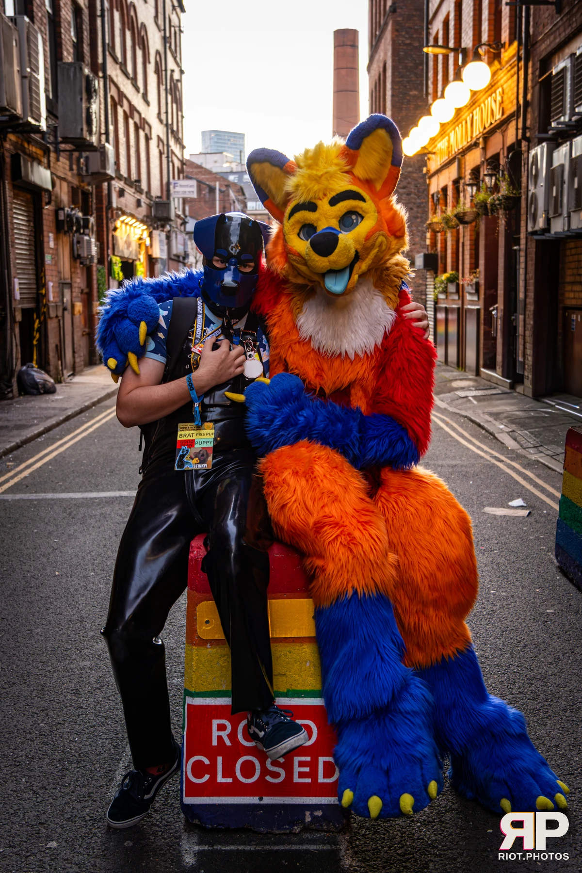 Doggy Weekend 2026 - 18 Oct 2026, Fluffy Riot photography - photo 61