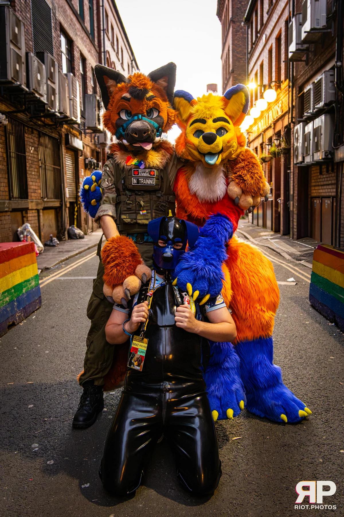 Doggy Weekend 2026 - 18 Oct 2026, Fluffy Riot photography - photo 54