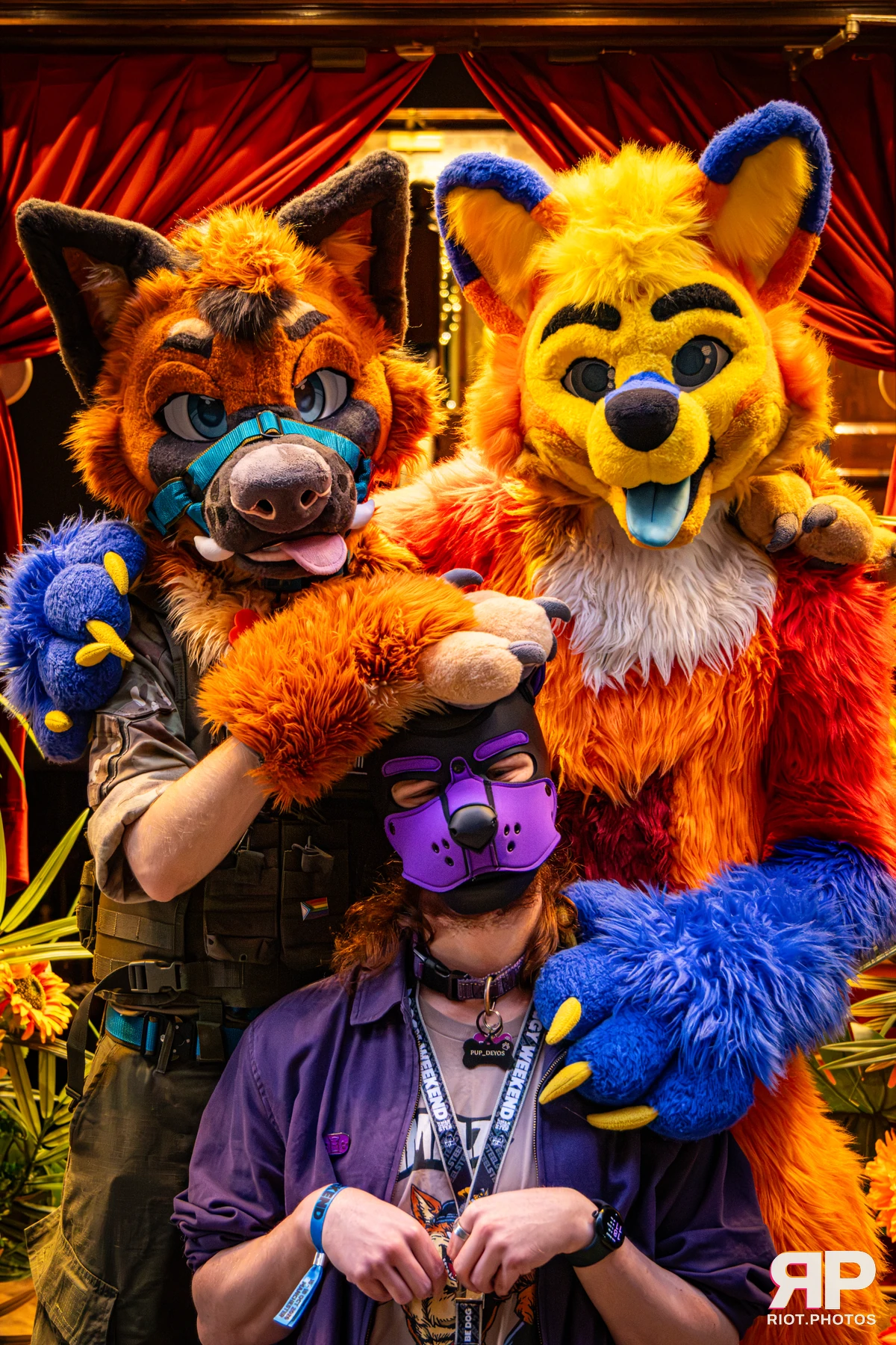Doggy Weekend 2026 - 18 Oct 2026, Fluffy Riot photography - photo 53