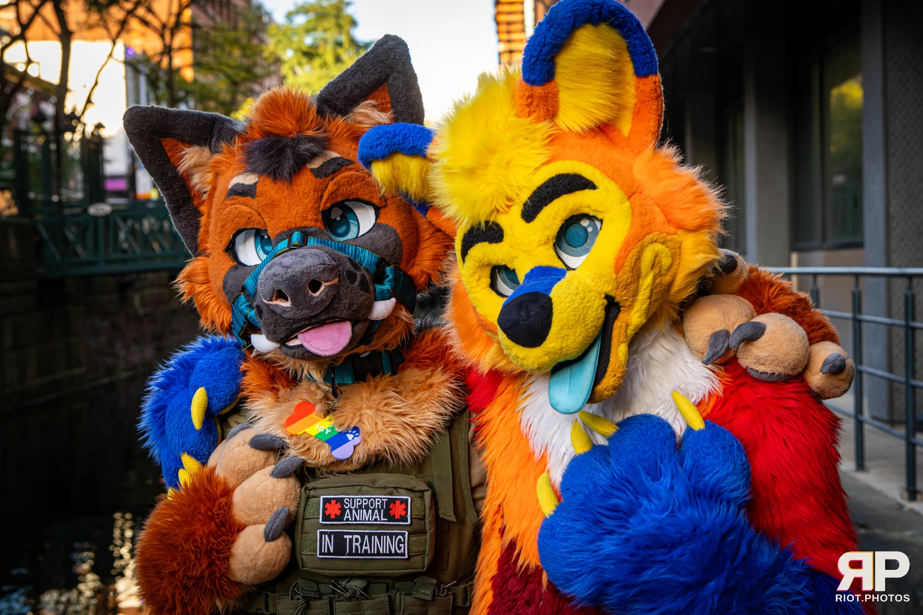 Doggy Weekend 2026 - 18 Oct 2026, Fluffy Riot photography - photo 60