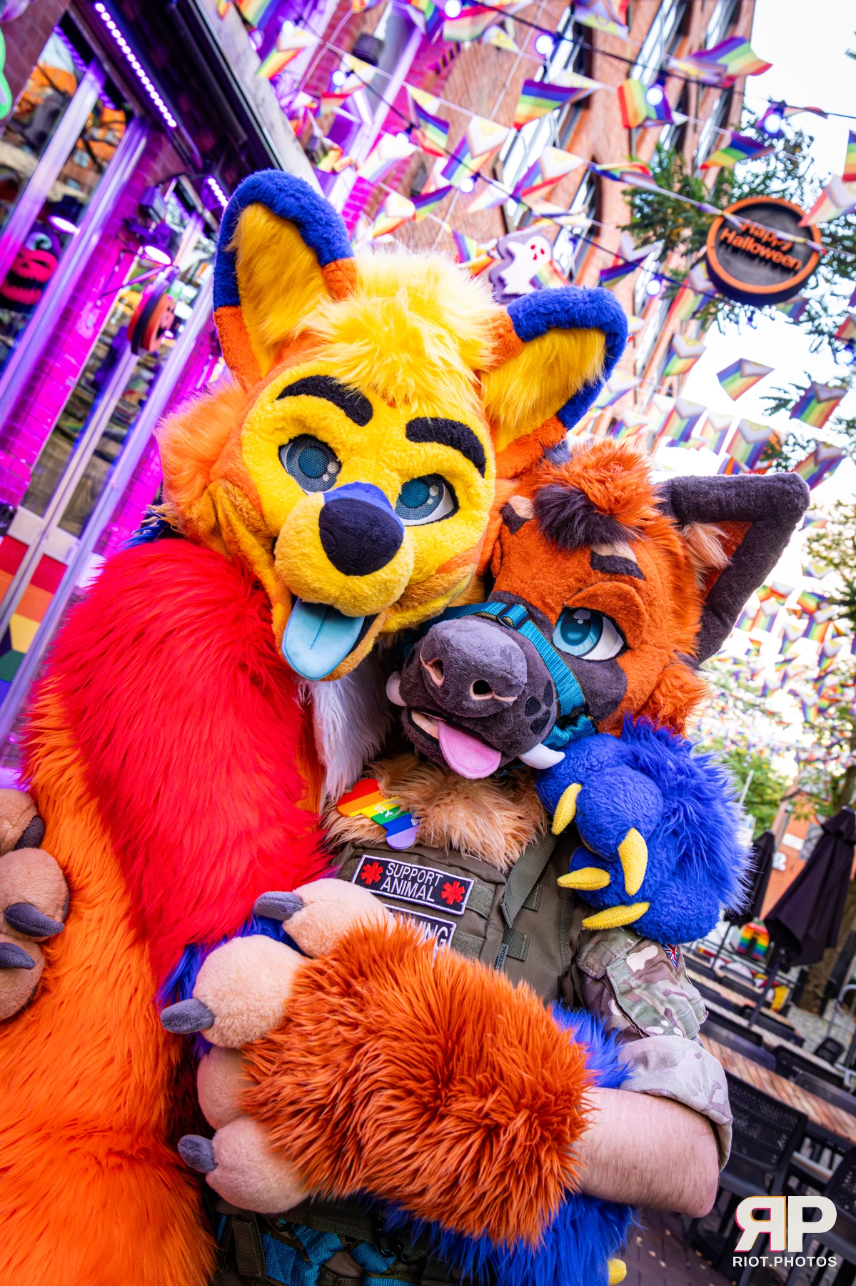 Doggy Weekend 2026 - 18 Oct 2026, Fluffy Riot photography - photo 58