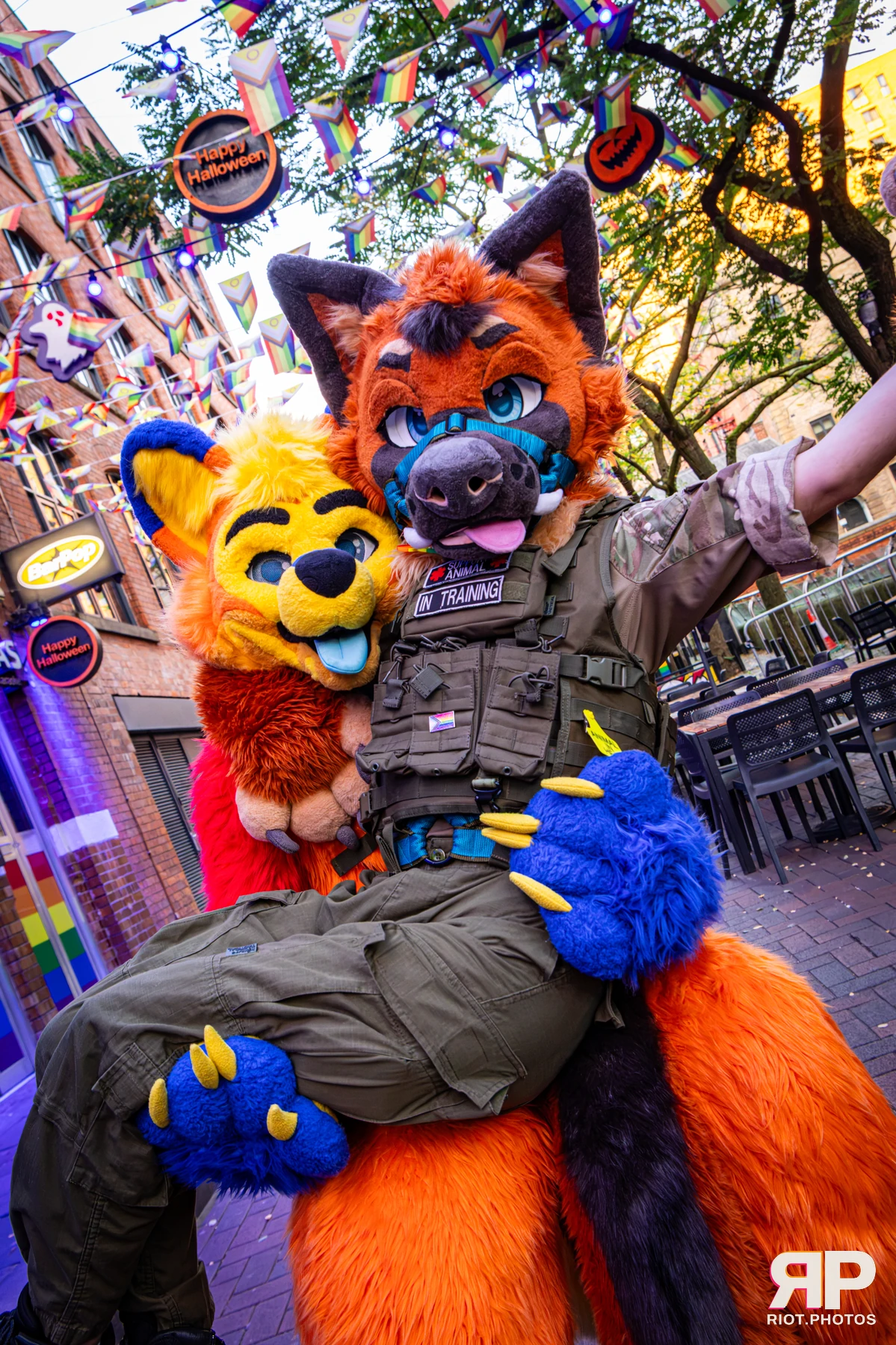 Doggy Weekend 2026 - 18 Oct 2026, Fluffy Riot photography - photo 57